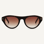 Tortoise-Gradient-Brown-1