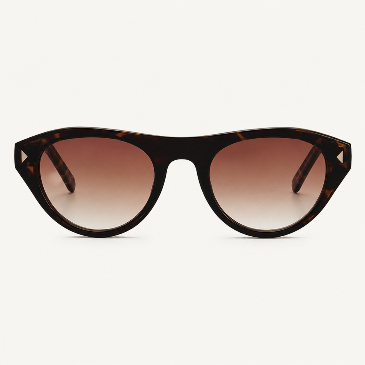 Tortoise-Gradient-Brown-1