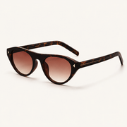 Tortoise-Gradient-Brown-3