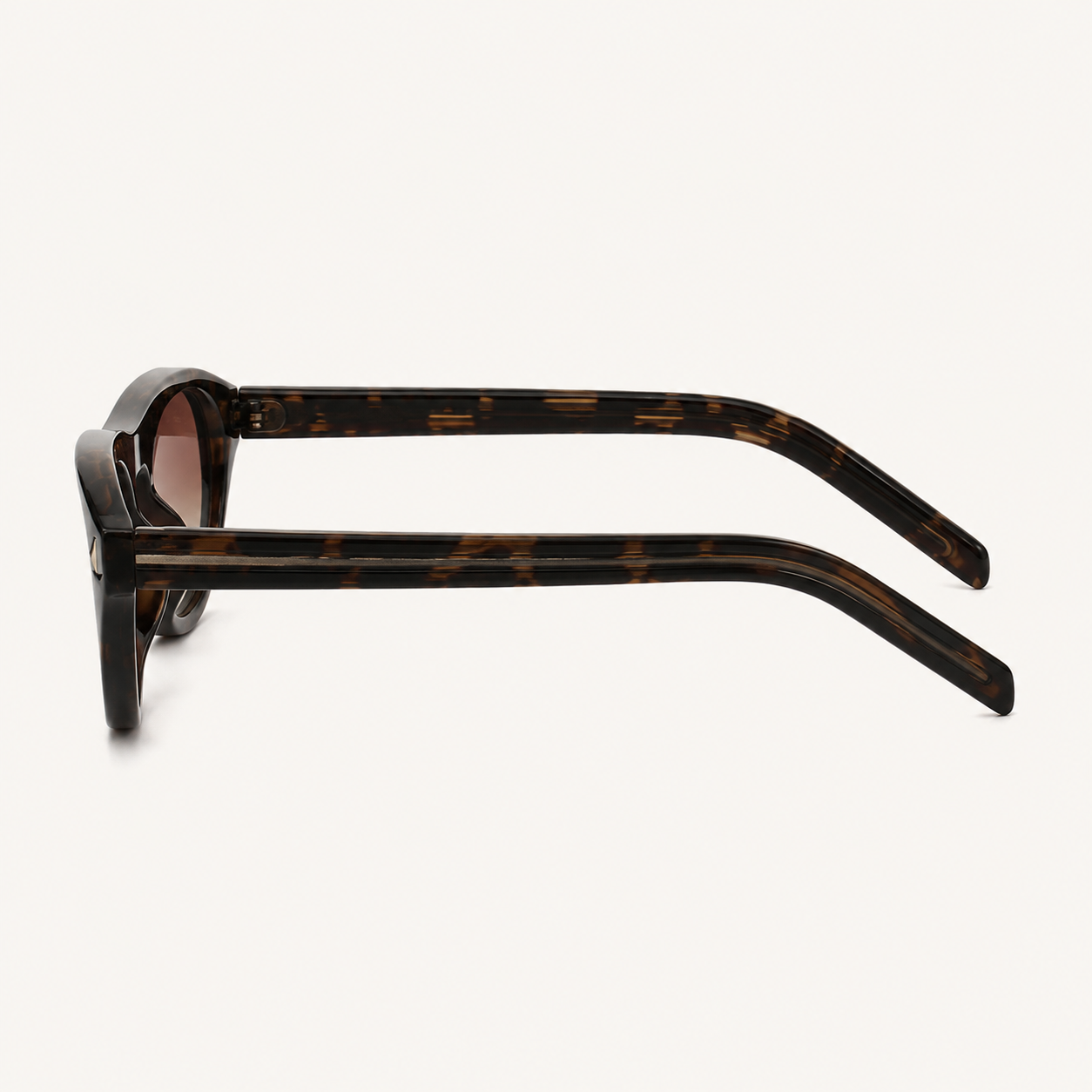 Tortoise-Gradient-Brown-5