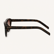 Tortoise-Gradient-Brown-5
