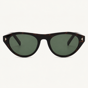 Tortoise-Green-1