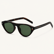 Tortoise-Green-3